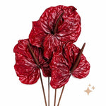 Anthurium 'Red Wine' | Seller's Choice, Hong Kong Collection