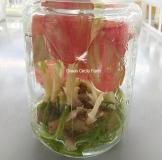 Aglaonema Golden Star TC | Grower's Choice, Foshan Collection
