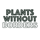 Dioscorea Discolor TC | Grower's Choice, Foshan Collection