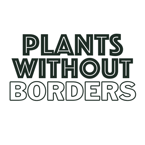 Syngonium 'Starlite' TC | Grower's Choice, Foshan Collection