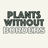 Syngonium Wendlandii Silver Goosefoot TC | Grower's Choice, Zhongshan Collection