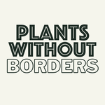 Philodendron Micans TC | Grower's Choice, Fujian Collection